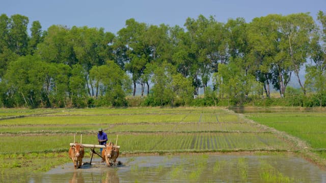 ミャンマー・モン州の田園風景