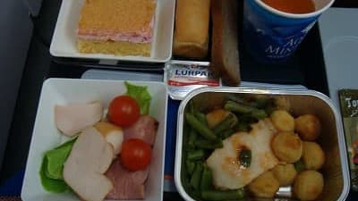 機内食：AEROFLOT モスクワ→成田