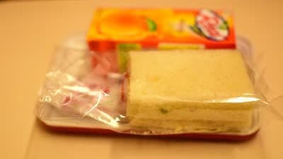 機内食：AIR INDIA ラクナウ→デリー