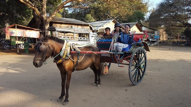 馬車で巡るバガン仏教遺跡群