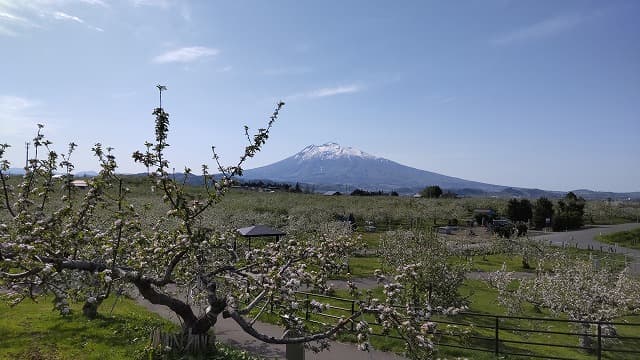 青森県弘前市のりんご公園