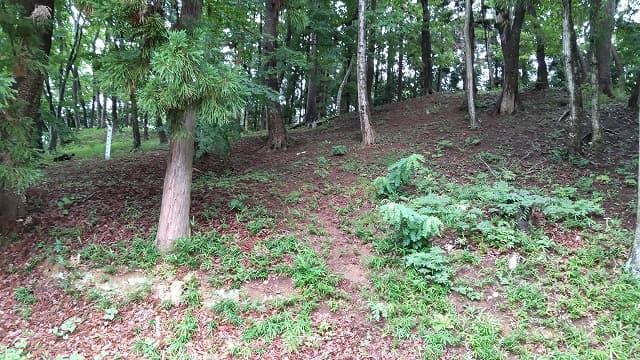 宮城県名取市の飯野坂古墳群(観音塚古墳)
