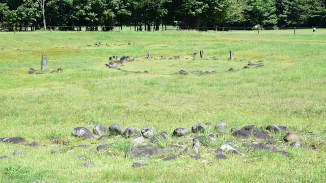 秋田県鹿角市の大湯環状列石（野中堂）