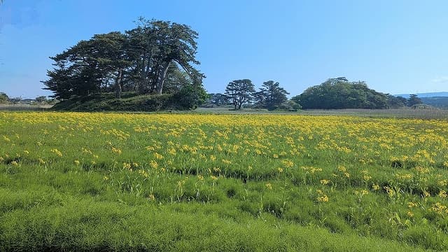 秋田県にかほ市の象潟及び汐越
