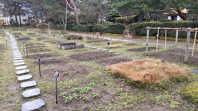 福島県会津若松市の御薬園の薬草園