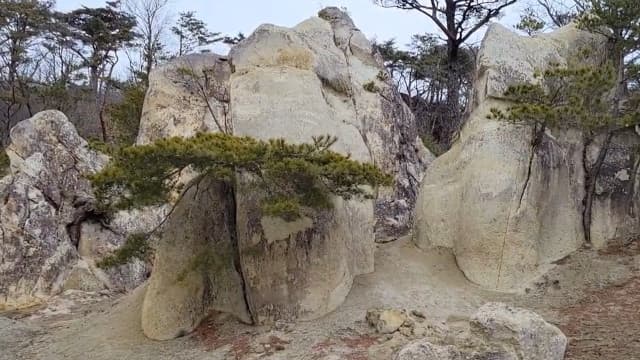 郡山市の浄土松山