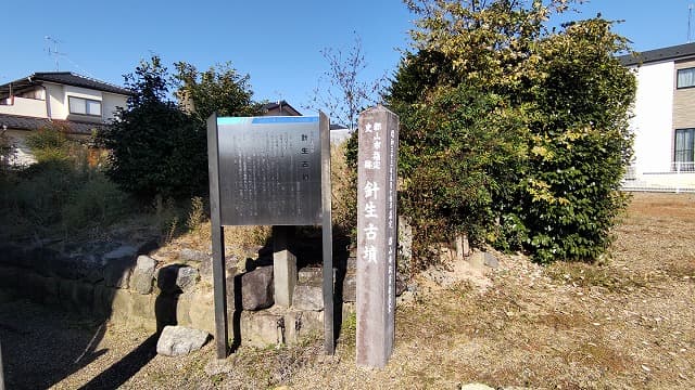 福島県郡山市の針生古墳