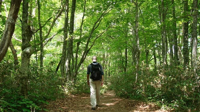 福島県南会津郡の磐梯山