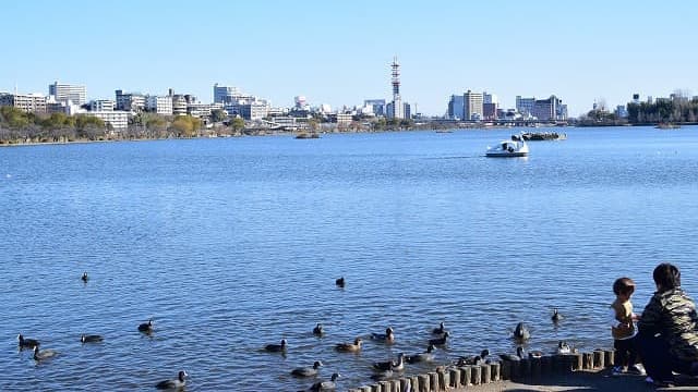 茨城県水戸市の千波湖