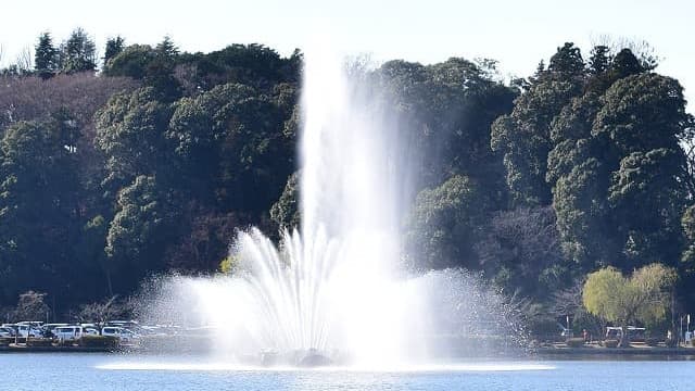 茨城県水戸市の千波公園