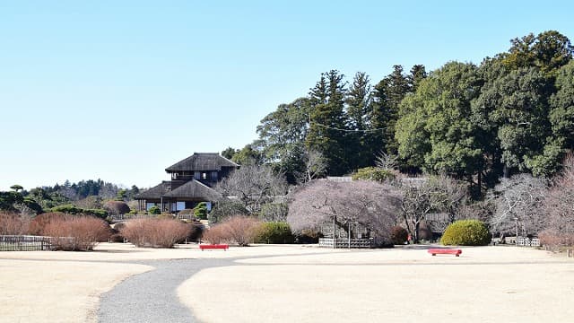 茨城県の偕楽園