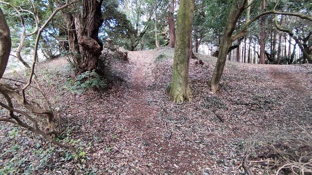 茨城県石岡市の丸山古墳