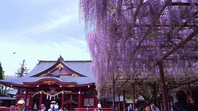 茨城県笠間市の笠間稲荷神社