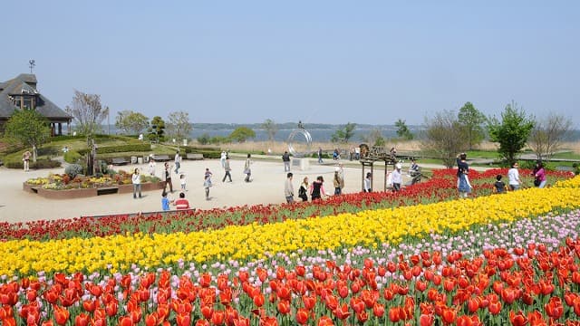 茨城県かすみがうら市の霞ヶ浦総合公園