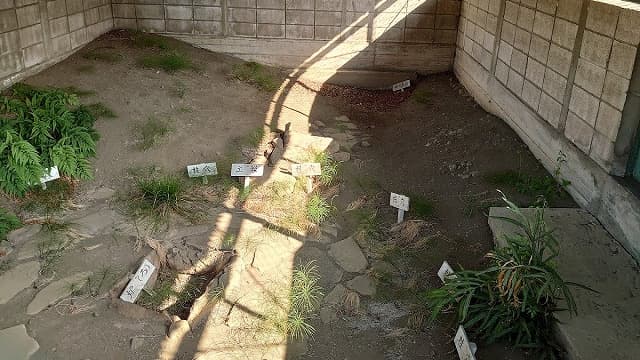 群馬県渋川市の小室敷石住居跡