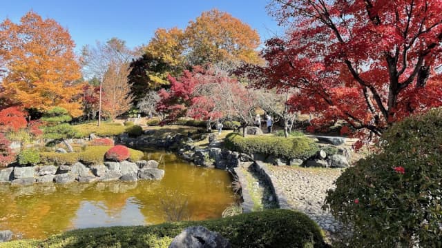 群馬県藤岡市の三波川(サクラ)