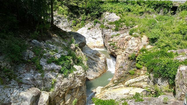 群馬県甘楽郡の蝉の渓谷