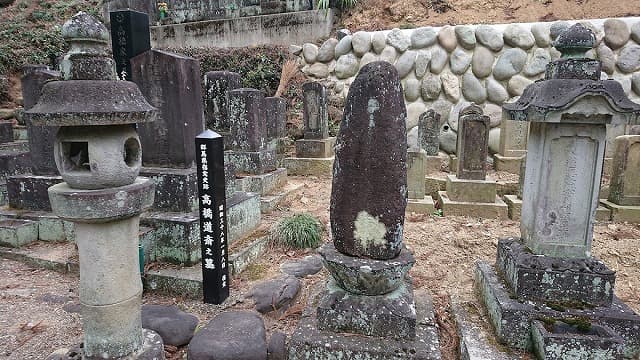 群馬県甘楽郡の高橋道斉の墓