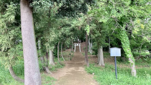 埼玉県川越市の山王塚古墳