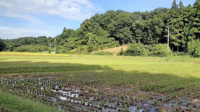 埼玉県比企郡