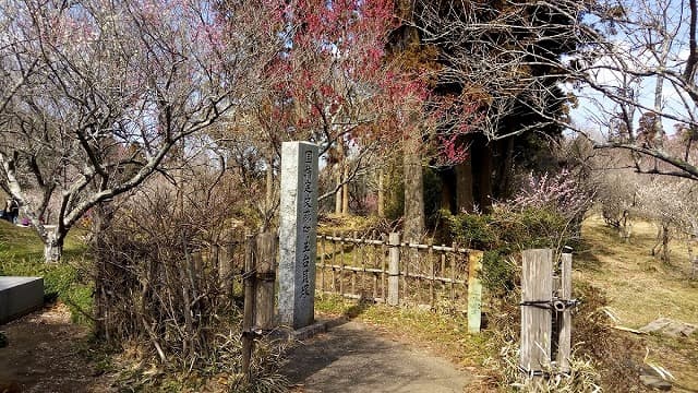 千葉県香取市の阿玉台貝塚