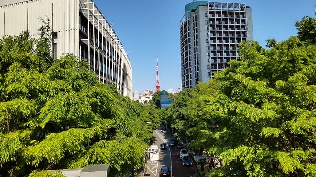 東京都港区の六本木