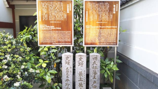 東京都文京区の平野金華墓