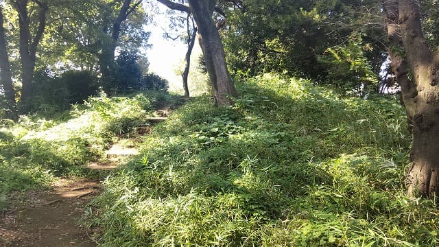東京都北区の飛鳥山1号墳