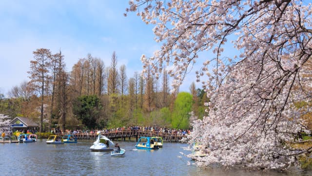 東京都三鷹市の井の頭恩賜公園