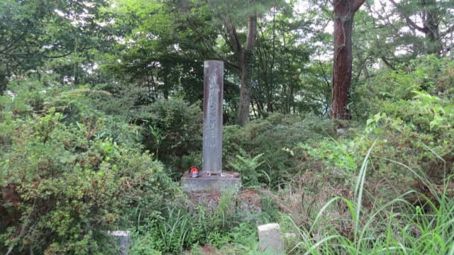 山梨県甲府市の武田信虎の墓