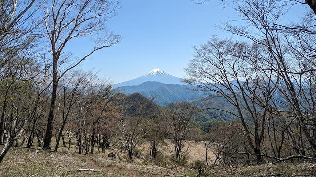 山梨県大月市のハマイバ