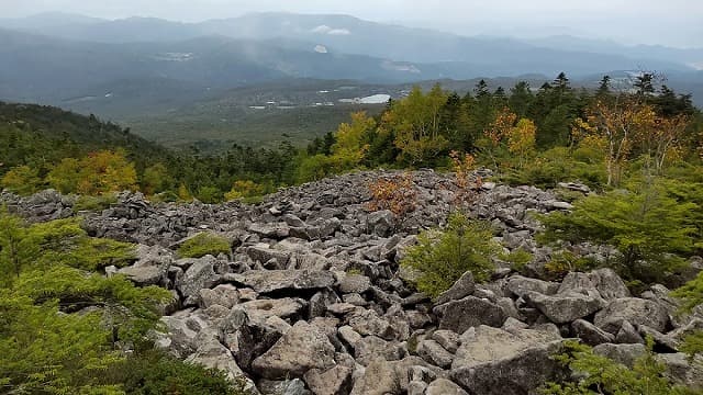 山梨県北杜市の天狗の露地
