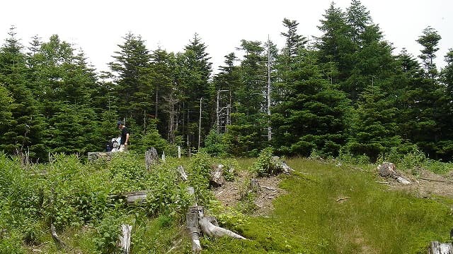 山梨県南巨摩郡の七面山