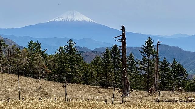 山梨県南巨摩郡の山伏からの富士山