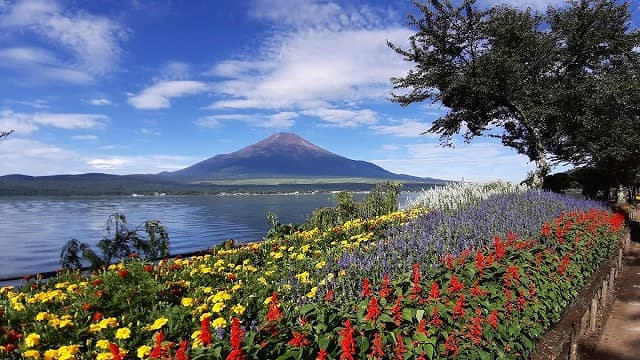 山梨県南都留郡の山中湖