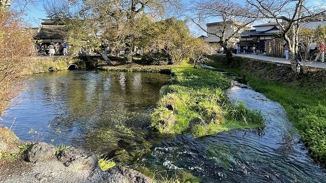 山梨県南都留郡の忍野八海（濁池）