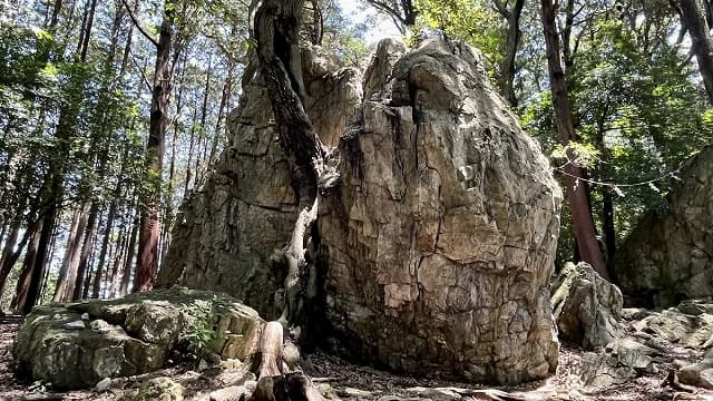 静岡県浜松市の渭伊神社境内遺跡