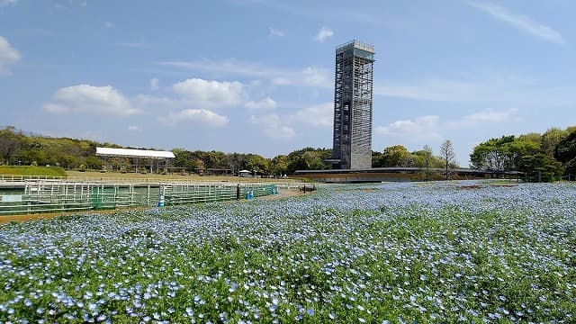 静岡県浜松市の浜名湖ガーデンパーク