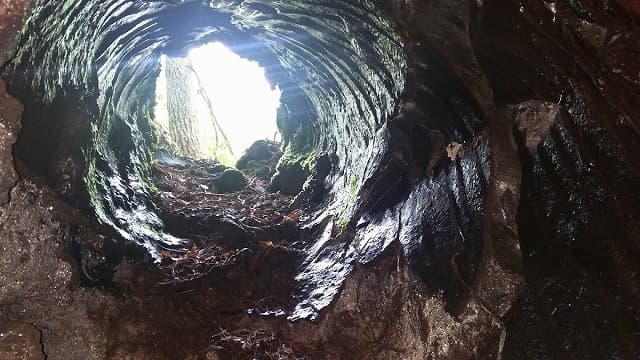 山梨県富士吉田市の吉田胎内樹型