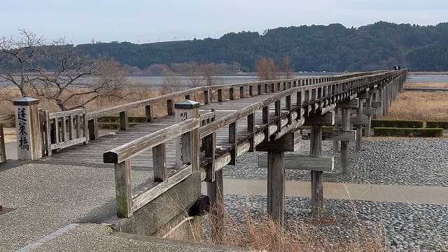 静岡県島田市の蓬莱橋