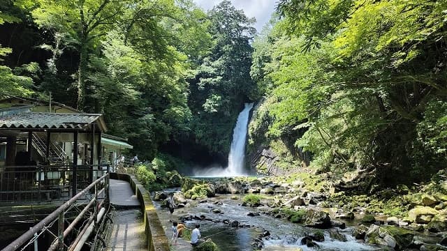 静岡県伊豆市の浄蓮の滝