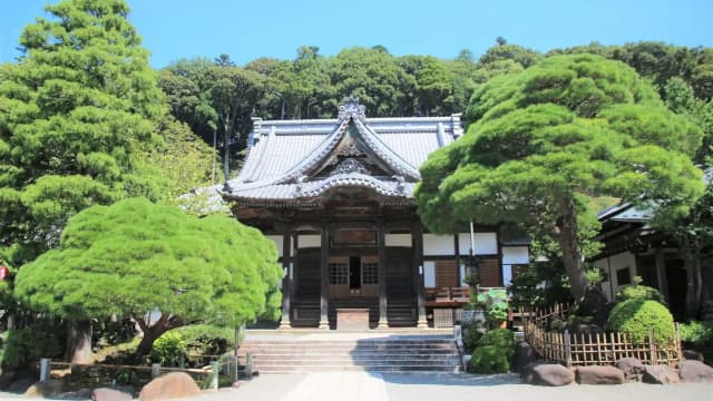 静岡県伊豆市の修善寺