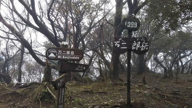 静岡県伊豆市の万二郎岳