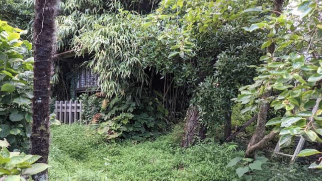 福井県三方上中郡の中塚古墳