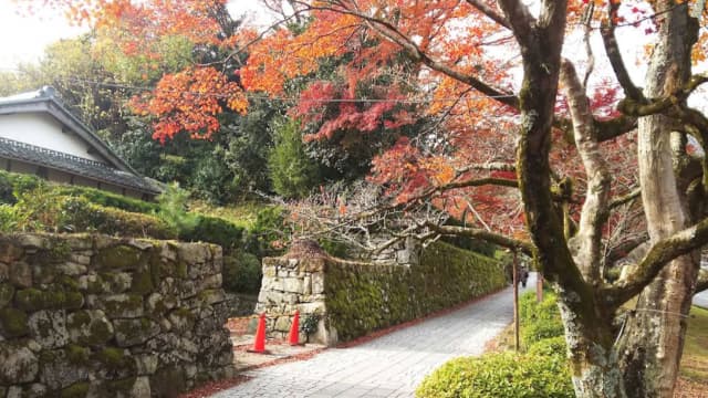 滋賀県大津市の延暦寺坂本里坊庭園(佛乗院庭園)