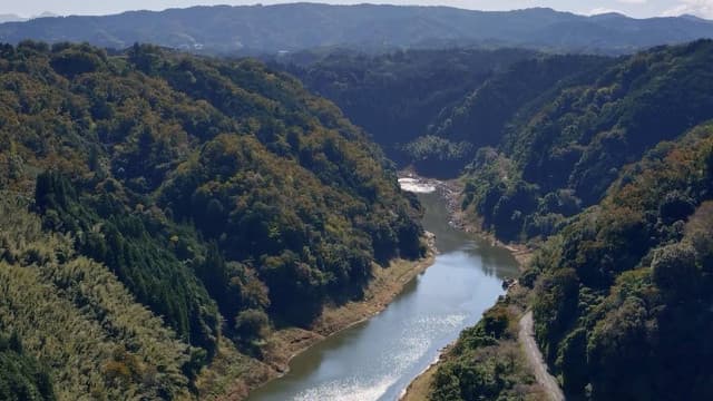 奈良県奈良市の月瀬梅林(月ヶ瀬梅渓)