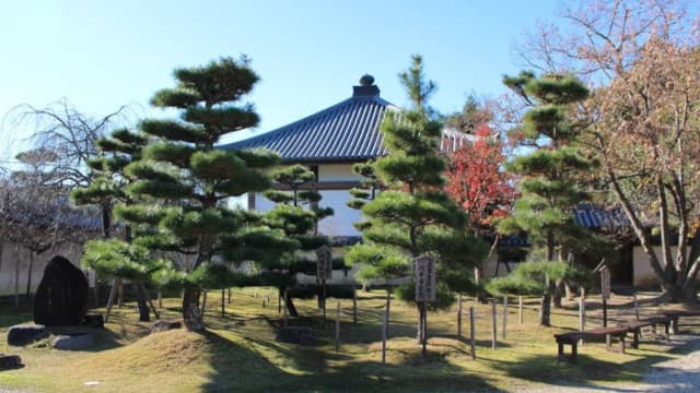 奈良県奈良市の法華寺旧境内（法華寺境内）