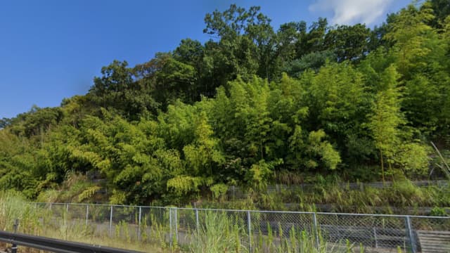 和歌山県和歌山市の平井1号墳及び平井埴輪窯跡群