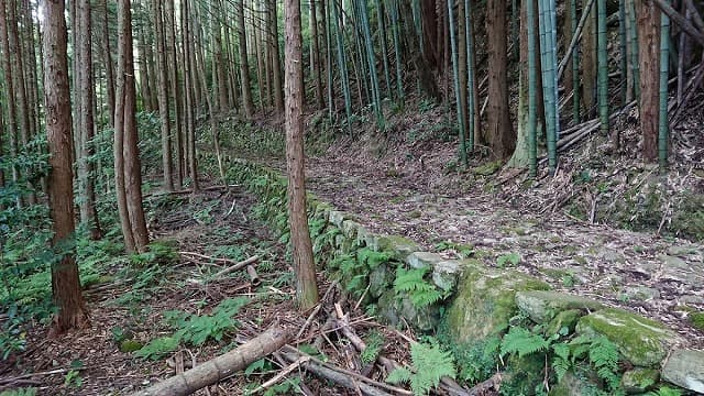 島根県鹿足郡の山陰道(野坂峠越)
