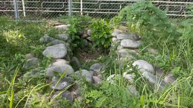 広島県広島市の西願寺山墳墓群